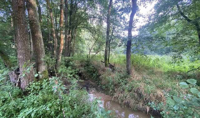 Prodej pozemku 3 382 m², Křečovice – Nahoruby, okres Benešov
