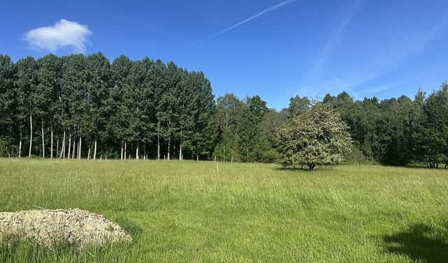 Prodej pozemku 37 713 m², Varnsdorf, okres Děčín
