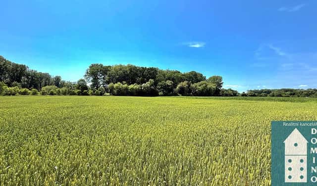 Prodej stavebního pozemku 1 061 m², Chropyně – Plešovec, okres Kroměříž