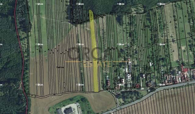 Prodej pole 1 435 m², Vřesovice, okres Hodonín