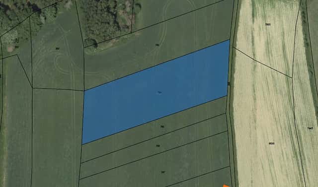 Prodej pozemku 1 562 m², Bělá u Jevíčka, okres Svitavy