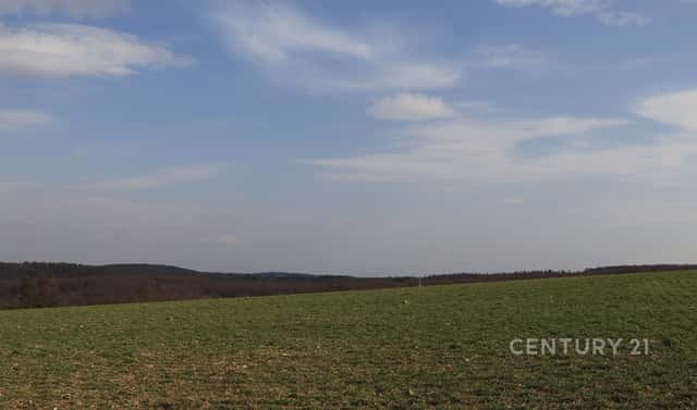 Prodej stavebního pozemku 5 420 m², Hrabyně, okres Opava