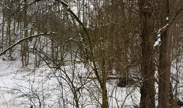 Prodej vodní plochy 6 437 m², Chotiměř, okres Litoměřice