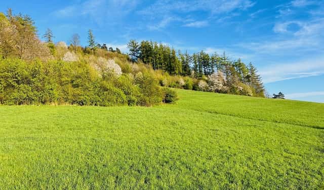 Prodej stavebního pozemku 1 920 m², Starý Jičín, okres Nový Jičín