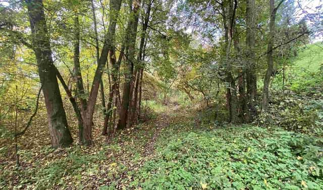 Prodej pozemku 1 003 m², Svijany, okres Liberec