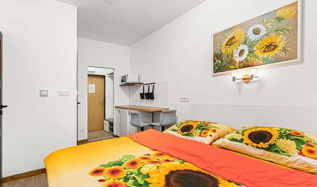 Prodej bytu 1+kk 17 m², Benešov nad Černou – Černé Údolí, okres Český Krumlov