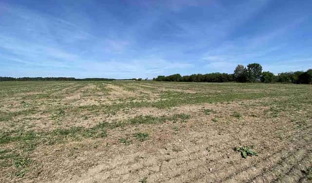 Prodej komerčního pozemku 26 974 m², České Velenice, okres Jindřichův Hradec