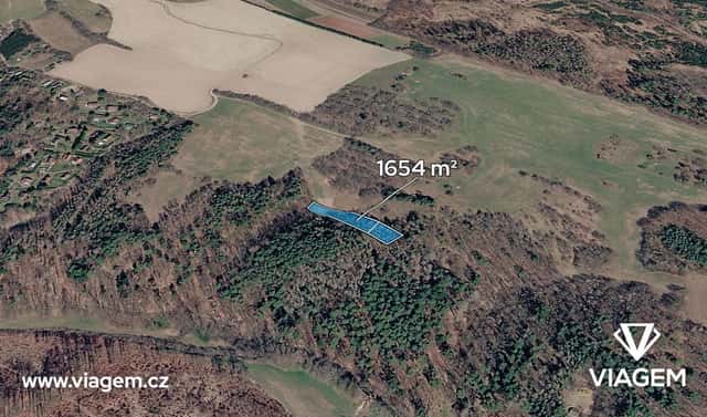 Prodej lesa 827 m², Lipová, okres Prostějov