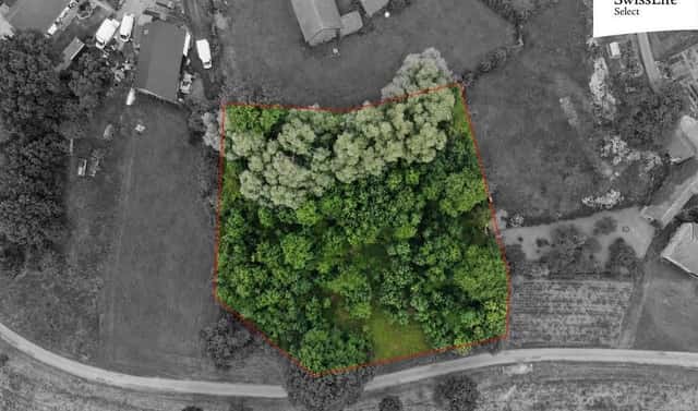 Prodej stavebního pozemku 3 537 m², Výrava, okres Hradec Králové