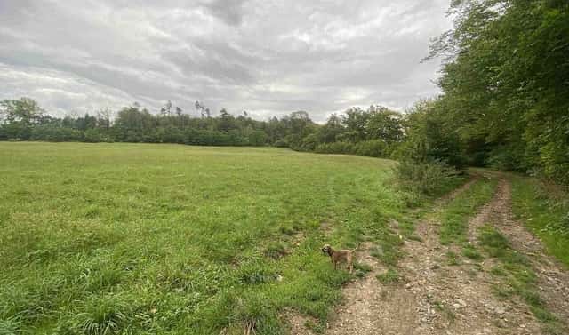 Prodej pole 950 m², Potštejn, okres Rychnov nad Kněžnou