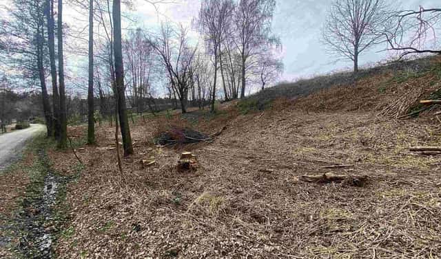 Prodej stavebního pozemku 704 m², Horní Stropnice – Šejby, okres České Budějovice