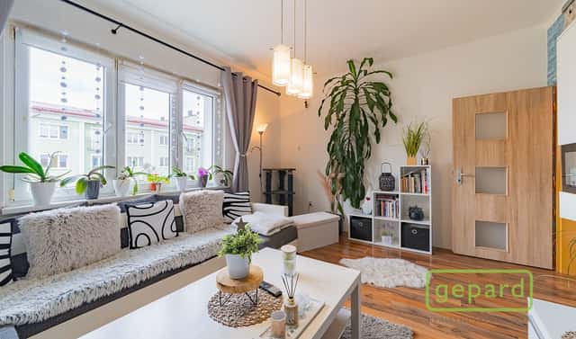 Prodej bytu 2+1 54 m², S. K. Neumanna, Ostrov, okres Karlovy Vary