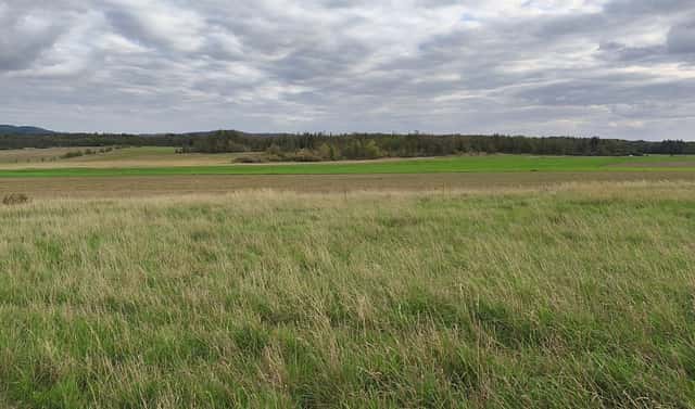 Prodej louky 3 629 m², Stará Huť, okres Příbram