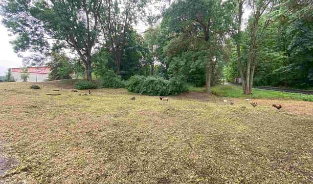 Prodej pozemku 1 993 m², Březová, okres Sokolov