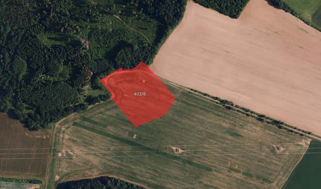 Prodej pole 14 079 m², Babice, okres Třebíč