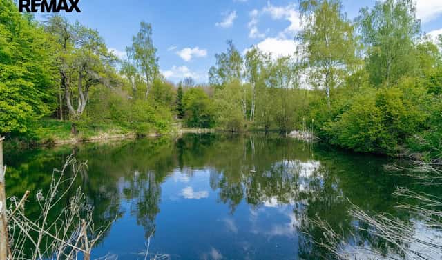 Prodej stavebního pozemku 28 310 m², Střítež, okres Žďár nad Sázavou