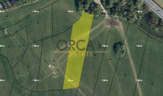 Prodej louky 4 201 m², Třebechovice pod Orebem, okres Hradec Králové