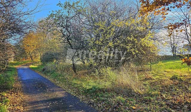 Prodej stavebního pozemku 1 000 m², Zbinohy, okres Jihlava