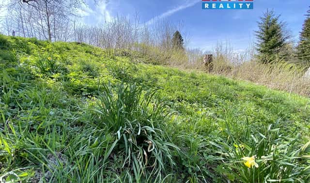 Prodej louky 1 153 m², Bartošovice v Orlických horách, okres Rychnov nad Kněžnou