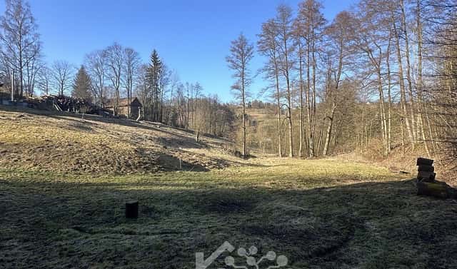 Prodej louky 5 815 m², Bozkov, okres Semily