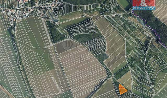 Prodej lesa 2 314 m², Lipov, okres Hodonín