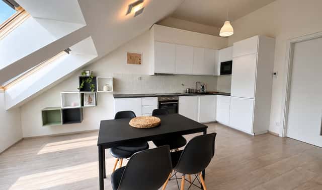 Pronájem bytu 1+kk 44 m², Hartigova, Praha 3 – Žižkov