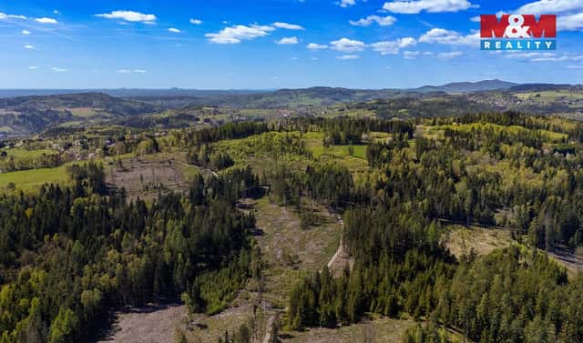 Prodej lesa 11 203 m², Železný Brod, okres Jablonec nad Nisou