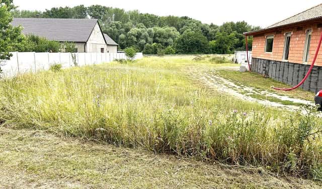Prodej stavebního pozemku 1 667 m², Brod nad Dyjí, okres Břeclav