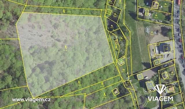 Prodej lesa 6 247 m², Davle, okres Praha-západ