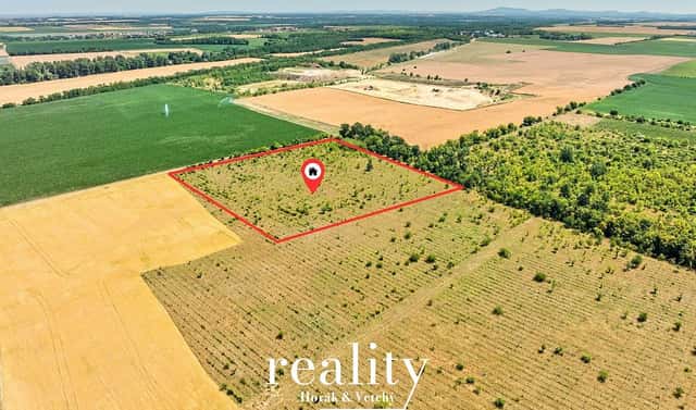 Prodej pole 22 053 m², Křídlůvky, okres Znojmo