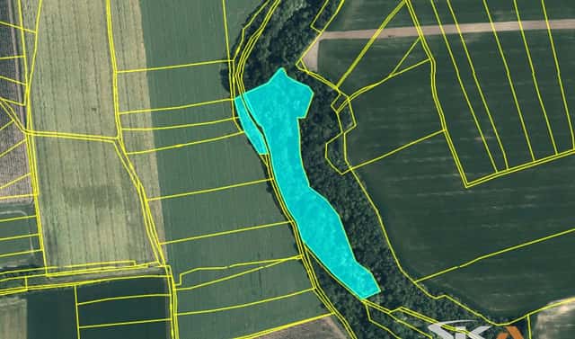 Prodej lesa 16 113 m², Lipno, okres Louny