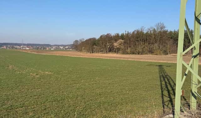 Prodej lesa 6 719 m², Sojovice – Drnovice, okres Mladá Boleslav