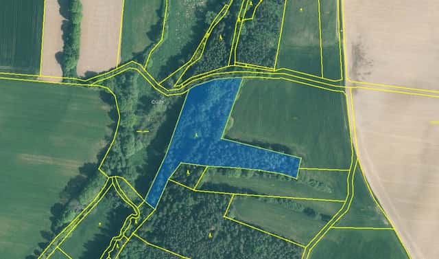 Prodej lesa 11 147 m², Cehnice, okres Strakonice
