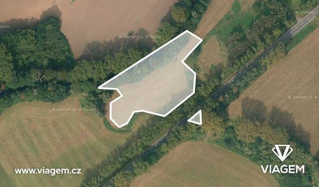 Prodej pole 7 322 m², Třebechovice pod Orebem, okres Hradec Králové