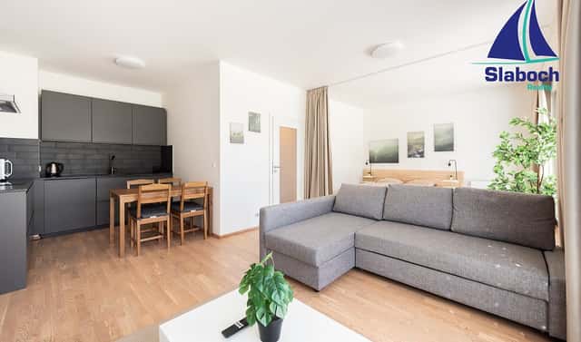 Pronájem bytu 1+kk 45 m², Breitfeldova, Praha 8 – Karlín
