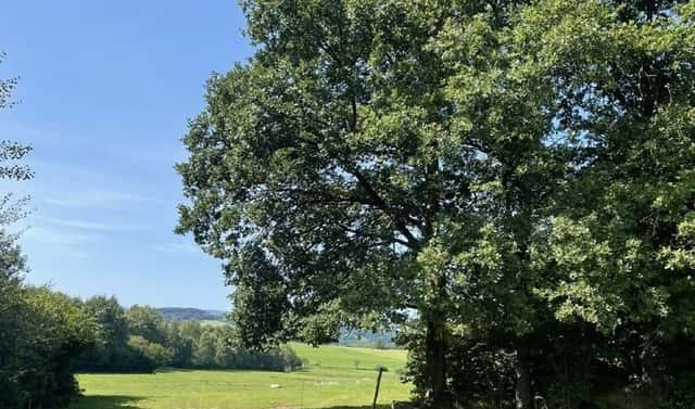Prodej stavebního pozemku 3 805 m², Kolinec, okres Klatovy