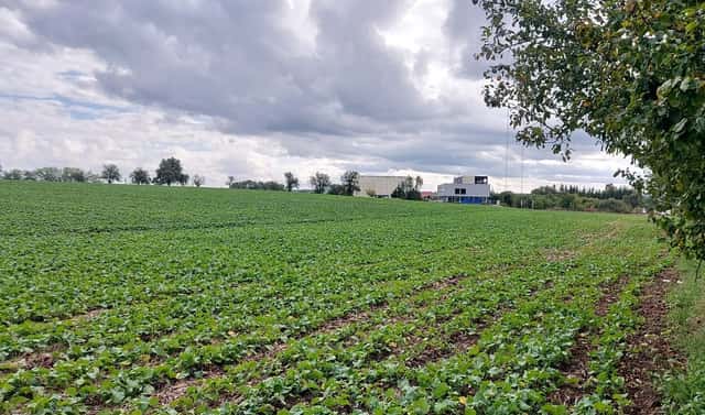Prodej komerčního pozemku 7 191 m², Klučovská, Český Brod, okres Kolín