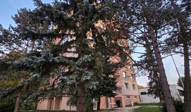 Prodej bytu 1+kk 30 m², Černého, Brno – Bystrc, okres Brno-město