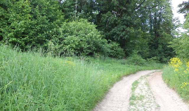 Prodej stavebního pozemku 1 135 m², Pohledy – Horní Hynčina, okres Svitavy