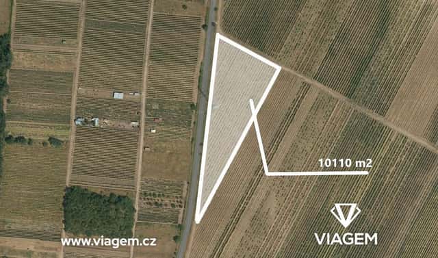 Prodej pole 5 055 m², Hlohovec, okres Břeclav