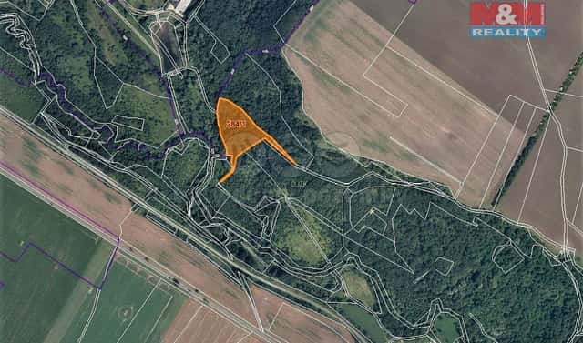 Prodej lesa 10 077 m², Žiželice, okres Louny