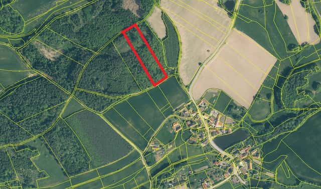 Prodej lesa 9 634 m², Hrazany – Klisinec, okres Písek