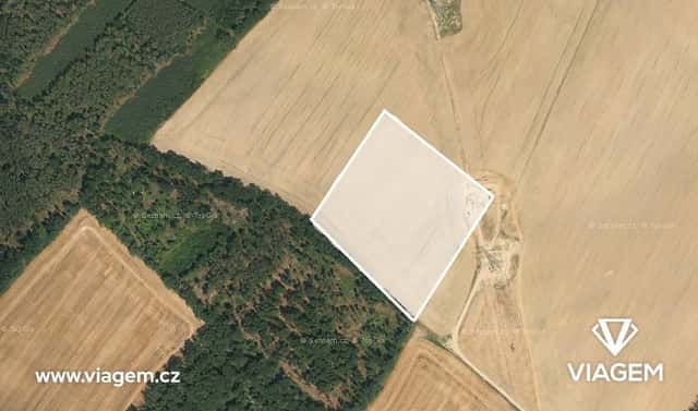 Prodej pole 2 391 m², Liběšice, okres Litoměřice