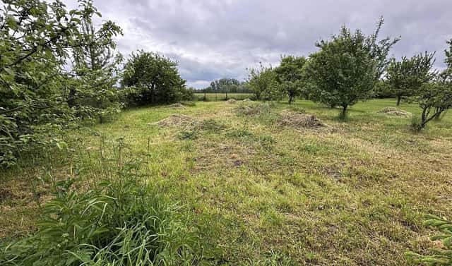 Prodej komerčního pozemku 644 m², Přerov