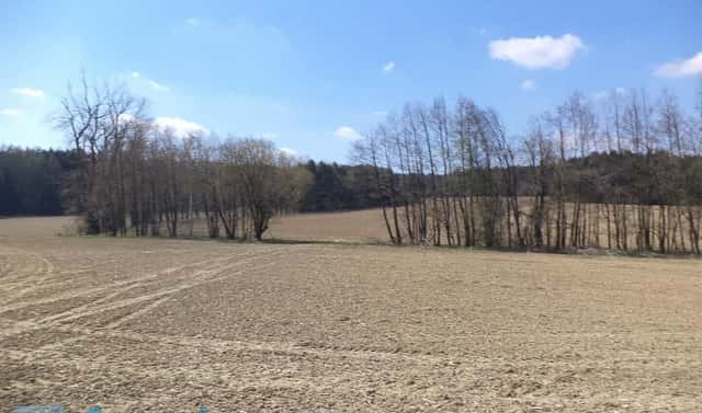 Prodej pole 5 703 m², Peč, okres Jindřichův Hradec