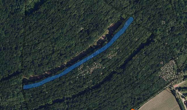 Prodej lesa 2 114 m², Boleradice, okres Břeclav