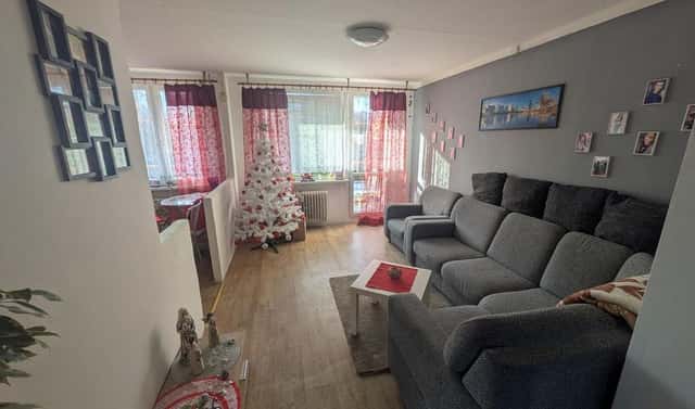 Prodej bytu 3+1 55 m², K. H. Borovského, Most