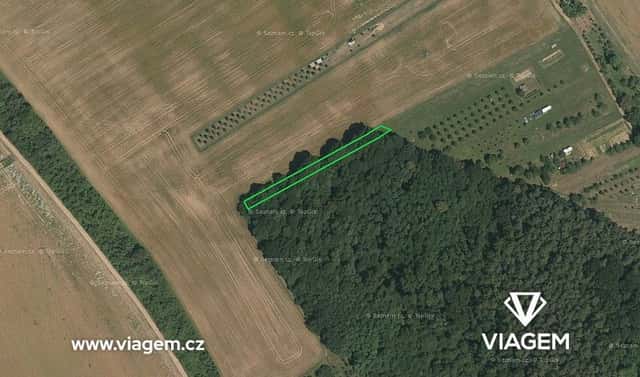 Prodej lesa 303 m², Březolupy, okres Uherské Hradiště