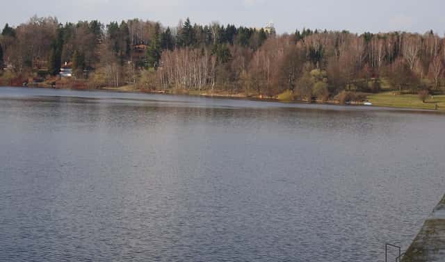 Prodej lesa 637 m², Seč, okres Chrudim