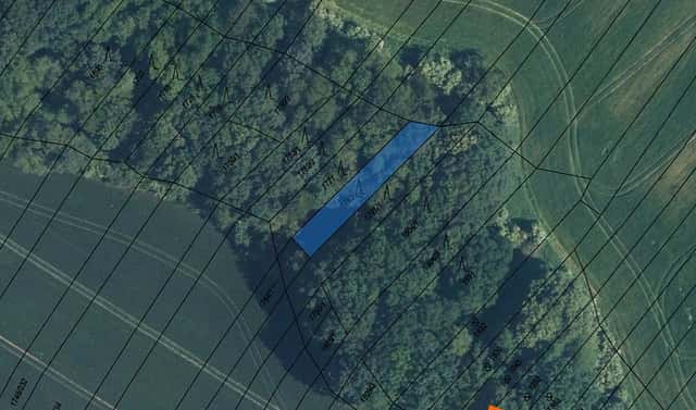 Prodej lesa 389 m², Mistřice, okres Uherské Hradiště